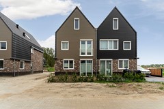 04_Moerasorchidee 31 - Lelystad.jpg